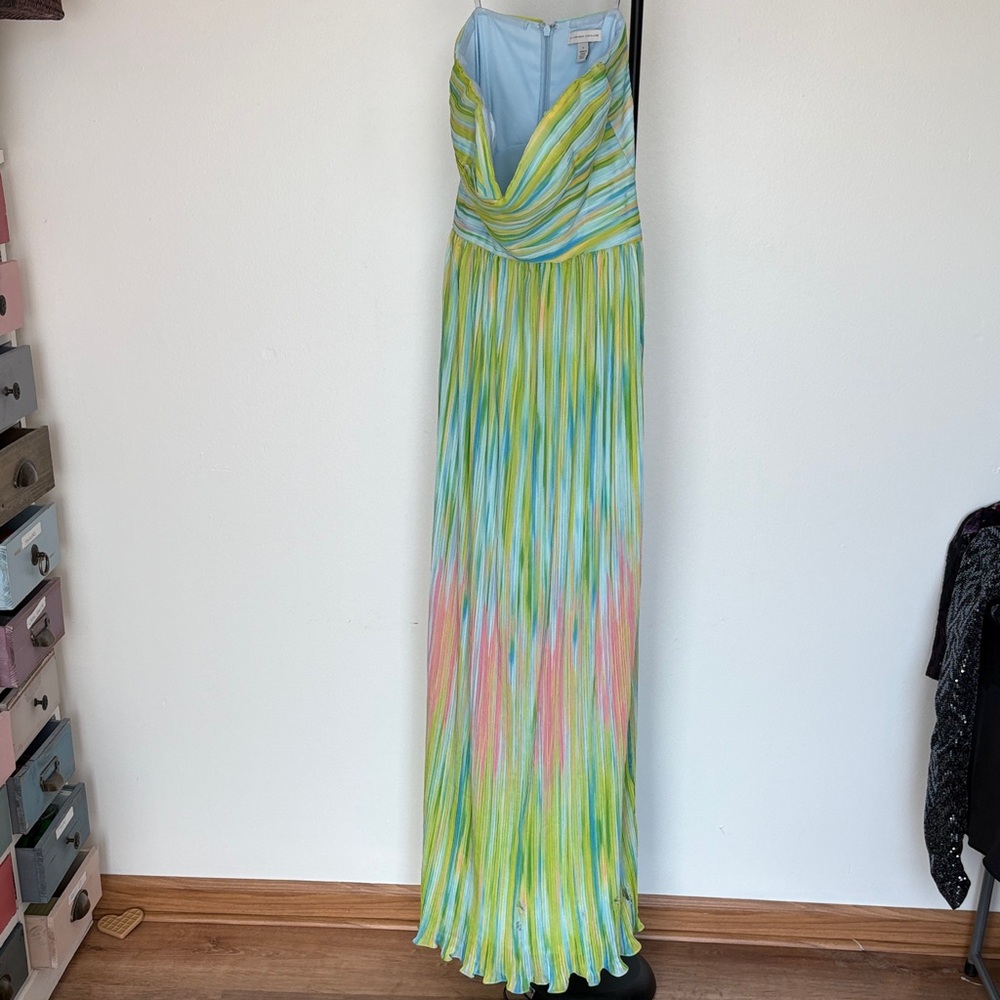Monique Lhuillier Vibrant Maxi Dress